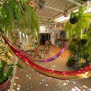Casa Linda Homestay