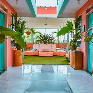 Flamingo & Coworking Hostel